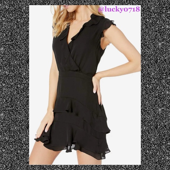 Parker NWT Tangia Dress in Black Sz 4 - Picture 3 of 9